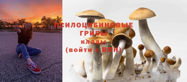 кокс Бородино