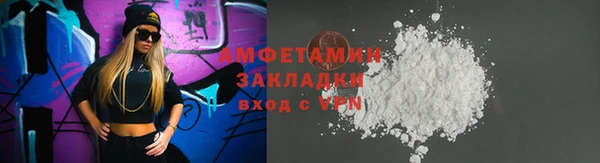 крисы Бронницы