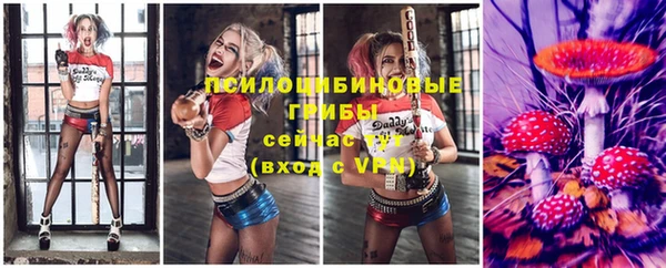 крисы Бронницы
