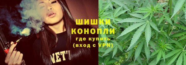кокс Бородино