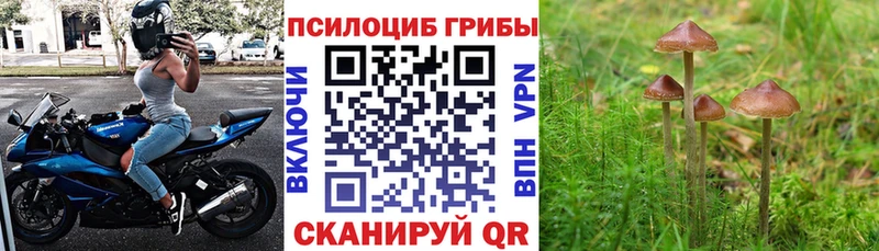 Галлюциногенные грибы мицелий  Купить  Красавино 